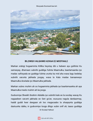@Somalilibarary - mooyaale somali baa leh.pdf